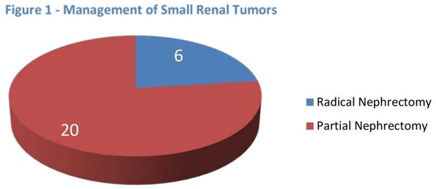 Renal Tumors Diagram 1