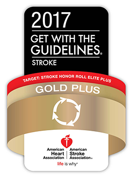 Gold Plus  AMA logo